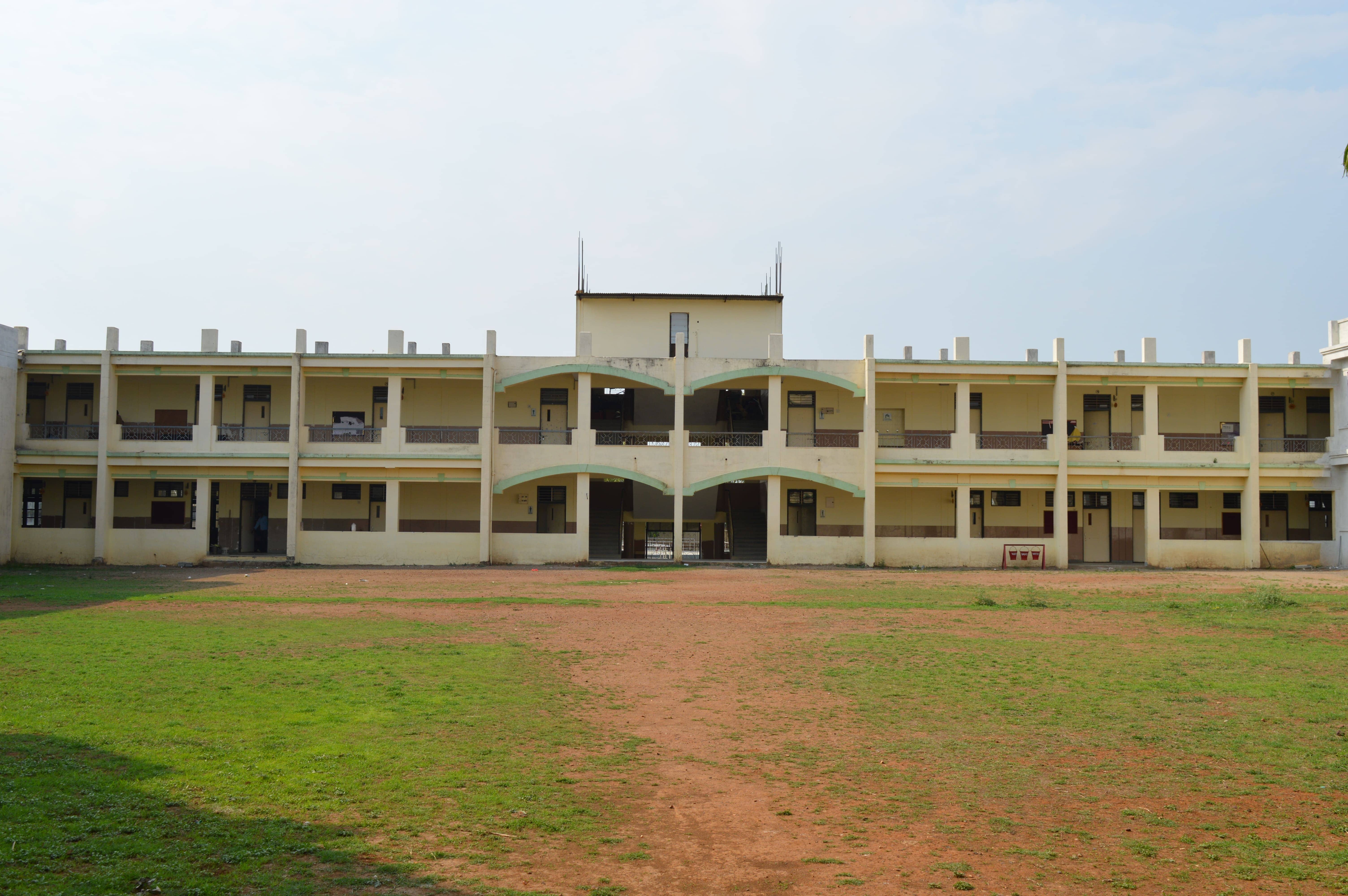 primary-wing