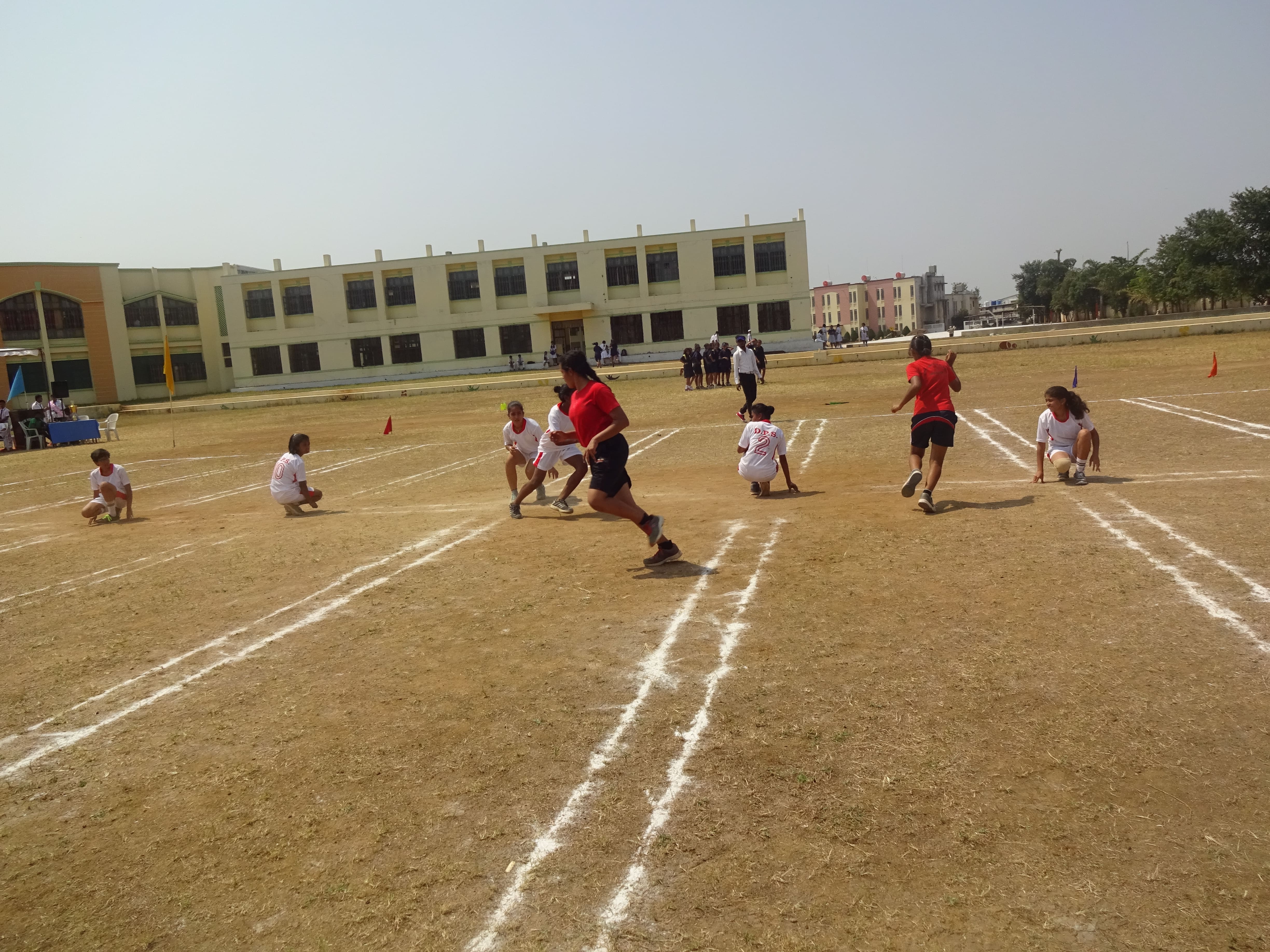 sports 